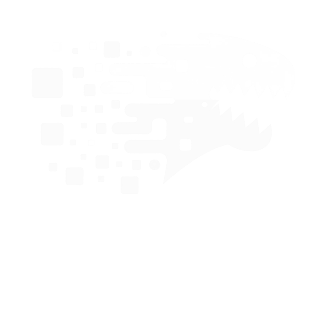 NESS